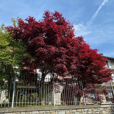 La Casa Di Nina - Traves Villa Pessinetto Dış mekan fotoğraf